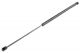 ΑΜΟΡΤΙΣΕΡ ΚΑΠΟ ΕΜΠΡΟΣ orig.60688574 ΓΙΑ ALFA ROMEO 159 /BRERA /SPIDER 2006>2011 604mm/250N  NTY - 1 Τεμ.
