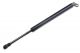 ΑΜΟΡΤΙΣΕΡ ΠΟΡΤ ΜΠΑΓΚΑΖ ΓΙΑ BMW ΣΕΙΡΑ  7 E38 94-01 310mm/640N orig.51248171480