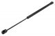 NTY - Αμορτισέρ Πίσω Τζαμιού Πορτ Μπαγκάζ μήκους 442mm με δύναμη 160N για ελεγχόμενο άνοιγμα για αυτοκίνητα Jeep Grand Cherokee 2010> orig.68083884AA - 1 Τεμ. (AE-CH-039/AJ)