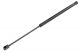 ΑΜΟΡΤΙΣΕΡ ΠΟΡΤ ΜΠΑΓΚΑΖ ΓΙΑ MERCEDES C KLAS S202 1996-2001 485mm/450N orig.2029800364 ΝΤΥ - 1 Τεμ.