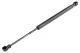 ΑΜΟΡΤΙΣΕΡ ΠΟΡΤ ΜΠΑΓΚΑΖ ΓΙΑ SMART SMART MC01 1998-2004 305mm/130N orig.113000013 ΝΤΥ - 1 Τεμ.