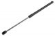 ΑΜΟΡΤΙΣΕΡ ΠΟΡΤ ΜΠΑΓΚΑΖ ΓΙΑ MERCEDES A W169 2004-2012 500mm/430N orig.1697400045