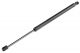 ΑΜΟΡΤΙΣΕΡ ΠΟΡΤ ΜΠΑΓΚΑΖ ΓΙΑ VW TOURAN 2010-2015 489mm/910N orig.1T0827550H ΝΤΥ - 1 Τεμ.