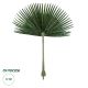 GloboStar® Artificial Garden WASHINGTONIA FILIFERA PALM LEAF 20171 Τεχνητό Διακοσμητικό Φύλο Φοινικόδεντρου Βεντάλια Π170 x Υ200cm