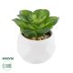 GloboStar® Artificial Garden SUCCULENT ECHEVERIA 21003 Διακοσμητικό Φυτό Παχύφυτο Εχεβέρια Υ8cm