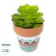 GloboStar® Artificial Garden SUCCULENT ECHEVERIA 21049 Διακοσμητικό Φυτό Παχύφυτο Εχεβέρια Υ14cm