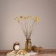 GloboStar® GRASPEDIA 36532 Αποξηραμένο Φυτό Κρασπέδια Φ2cm - Μπουκέτο Διακοσμητικών Κλαδιών Μπεζ - Κίτρινο Υ70cm - Σετ 20 τμχ