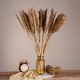 GloboStar® BROOMCORN 36554 Αποξηραμένο Φυτό Γλυκό Σόργο - Μπουκέτο Διακοσμητικών Κλαδιών Καφέ Υ80cm - Σετ 20 τμχ