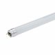 Led Λάμπα T8 Γυάλινη City Line 60cm 9W 800 lm Θερμό Λευκό